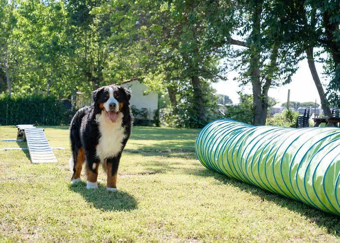 Parco vacanze Club Del Sole La Risacca Family Collection